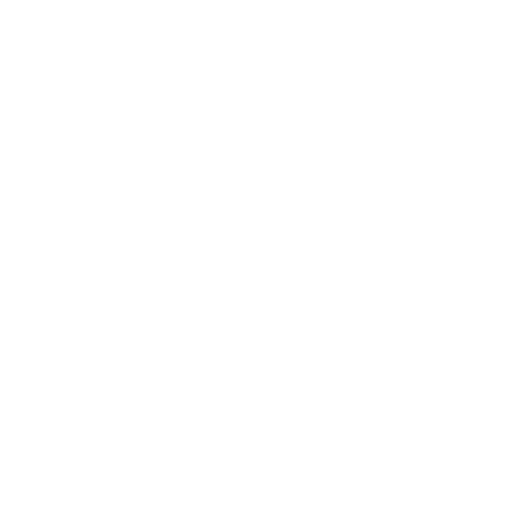 La Puntada Ideal 